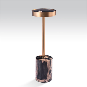 Petrified Wood and Brushed Metal Accent Table